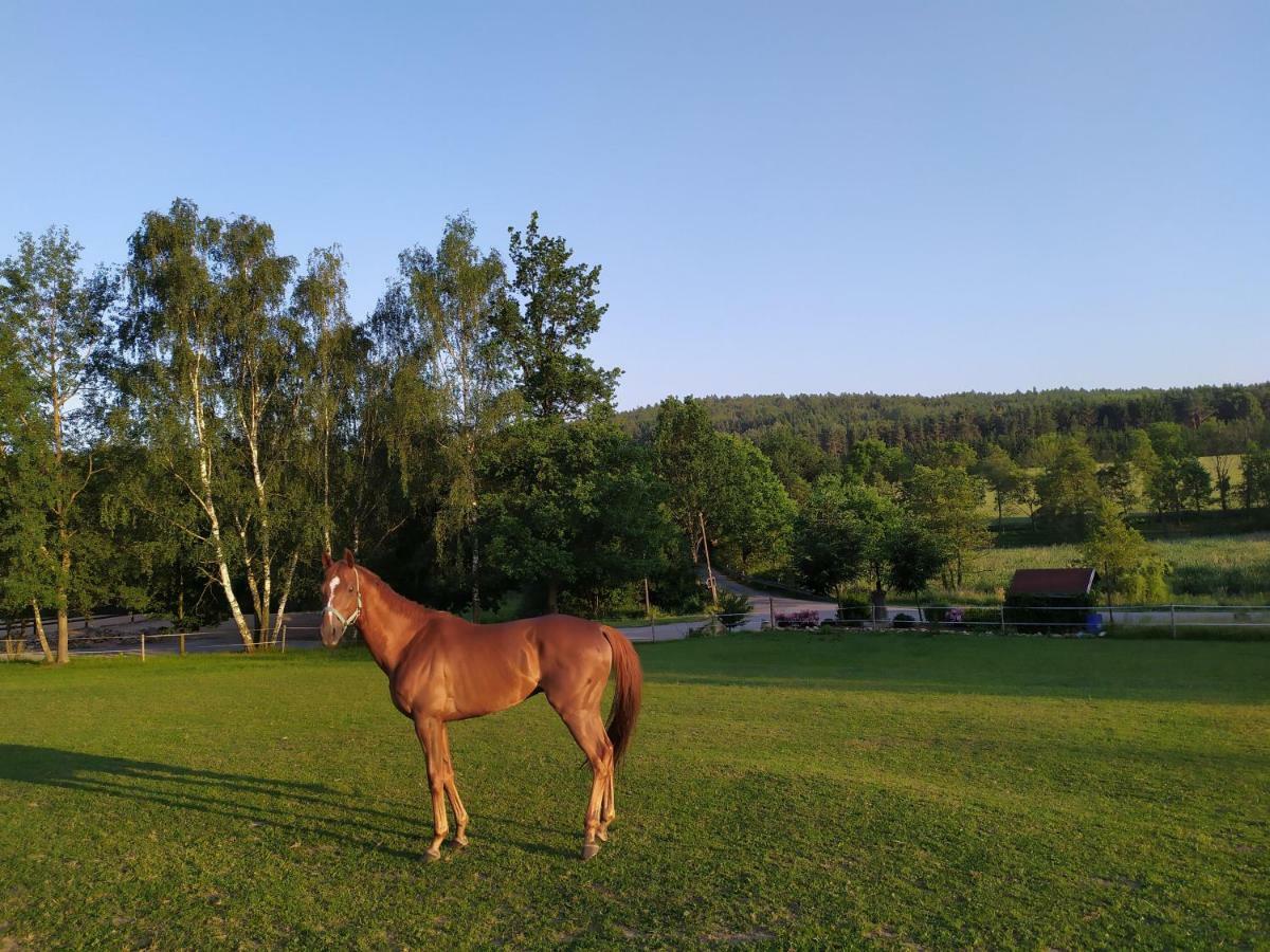 Statek Cesky Dvur Hotel Postupice Buitenkant foto